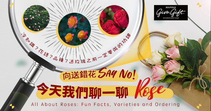 All About Roses: Fun Facts, Varieties and Ordering